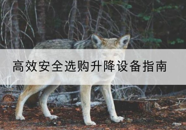 永顺升降货梯厂家推荐-*安全选购升降设备指南