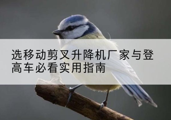 永顺电动升降机厂家-选移动剪叉升降机厂家与登高车必看实用指南